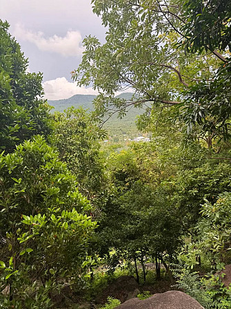 2 Beds 1 Bath - House Phangan - photo 14