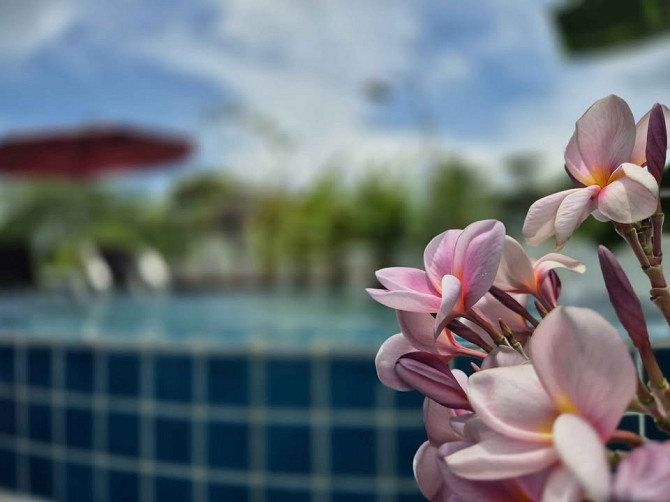 3 beds 2 bathrooms – House Samui - photo 2