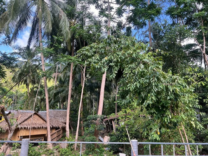 2 ห้องนอน 2 ห้องน้ำ - บ้าน Samui - photo 4