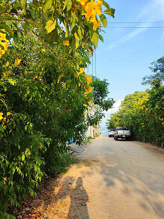 1 Bed 1 Bath - House Samui - photo 11