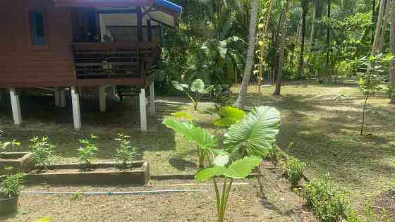 1 bedroom house and 1 bathroom Phangan