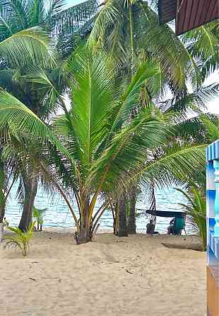 House from the bedroom: 1 and bathrooms: 1 Samui