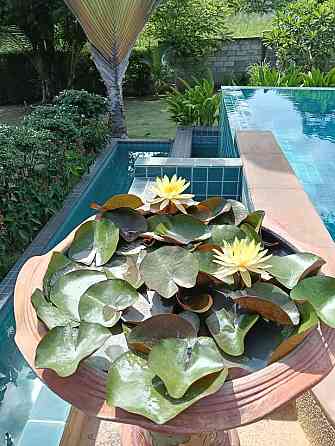 2 bedrooms, 3 bathrooms -house Samui