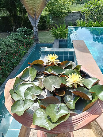 2 bedrooms, 3 bathrooms -house Samui - photo 2