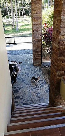 2 bedrooms, 2 bathrooms - home Phangan - photo 7