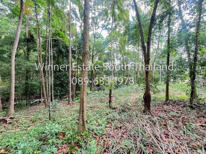 2 beds 2 bathrooms – House Samui - photo 11