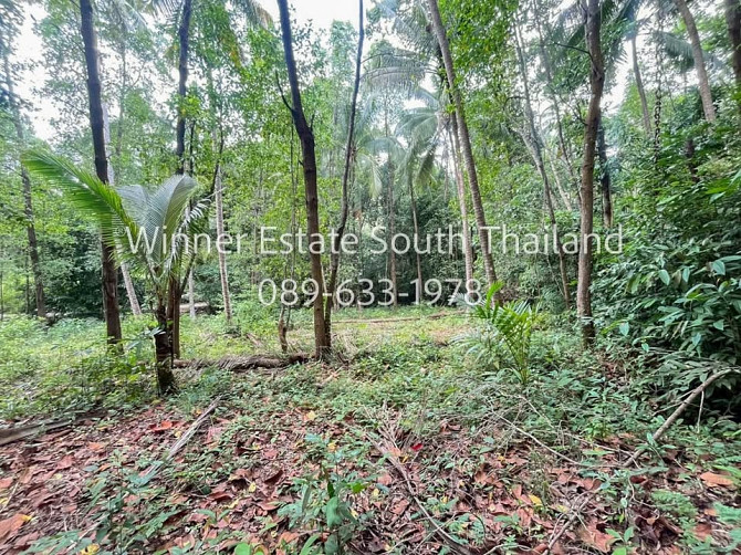 2 beds 2 bathrooms – House Samui - photo 10