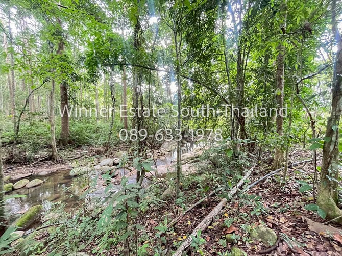 2 beds 2 bathrooms – House Samui - photo 5