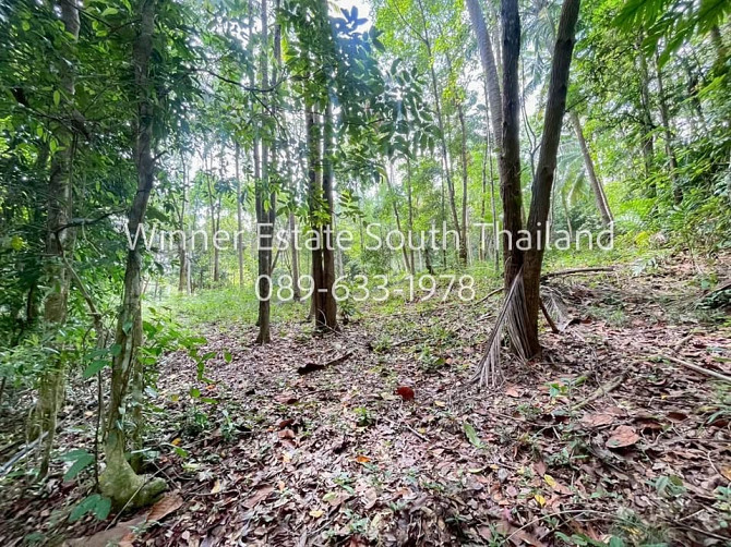2 beds 2 bathrooms – House Samui - photo 9