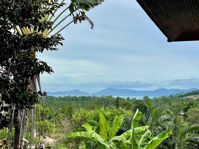 House from bedrooms: 3 and bathrooms: 3 Samui - photo 3