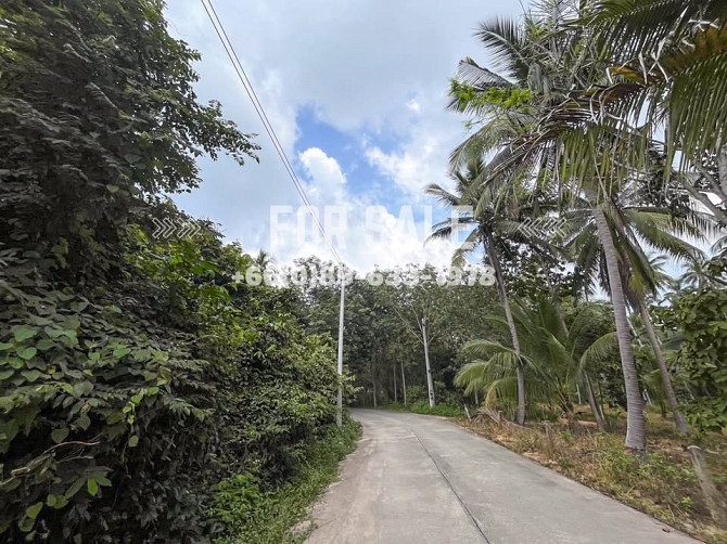 1 bedroom apartment, 1 bathroom Samui - photo 4