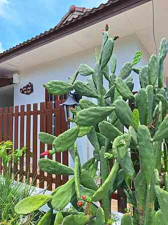 2 bedrooms, 2 bathrooms - townhouses Samui
