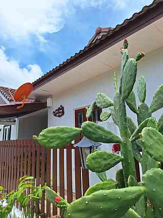 2 bedrooms, 2 bathrooms - townhouses Samui