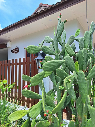 2 bedrooms, 2 bathrooms - townhouses Samui - photo 2