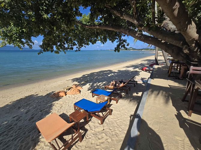 1 Bed 1 Bath - Apartment Samui - photo 14