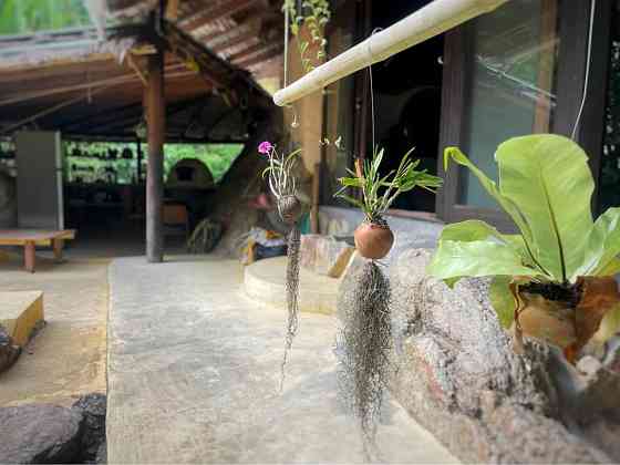3 beds 2 bathrooms – House Phangan