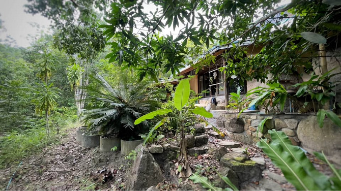3 beds 2 bathrooms – House Phangan - photo 20
