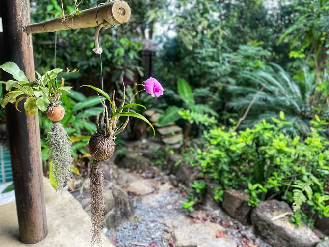 3 beds 2 bathrooms – House Phangan - photo 14