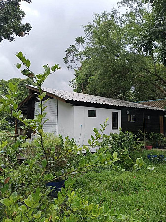 1 Bed 2 Baths - House Phangan - photo 8