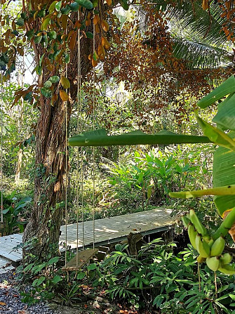 1 Bed 1 Bath - House Samui - photo 6
