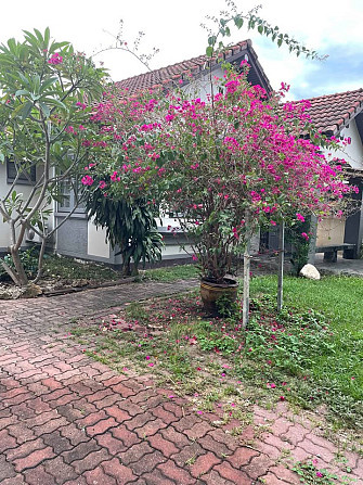 2 bedrooms, 2 bathrooms - home Samui - photo 4