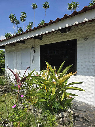 House from the bedroom: 1 and bathrooms: 1 Samui - photo 5