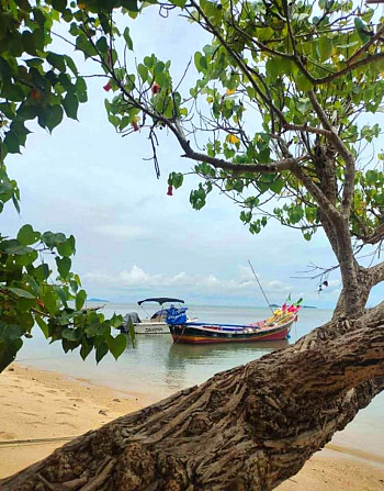 1 bedroom, 1 bathroom - house Samui - photo 4