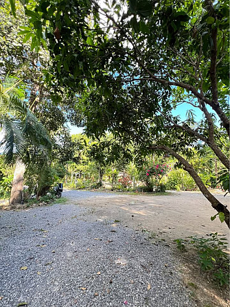 1 Bed 1 Bath - House Phangan - photo 18