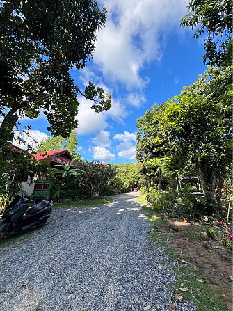 1 Bed 1 Bath - House Phangan - photo 17