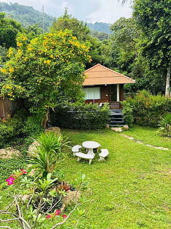 1 Bed 1 Bath - House Samui - photo 8