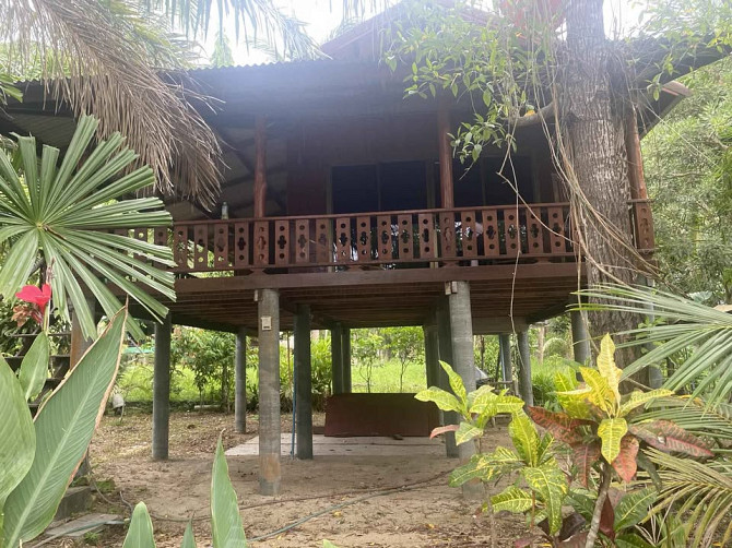 1 bedroom house and 1 bathroom Phangan - photo 5
