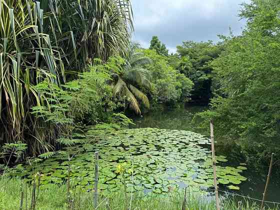 1 Bed 1 Bath - House Phangan