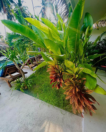 4-Bedroom, 4-Bathroom House Phangan - photo 17
